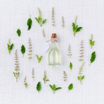herbs (1)